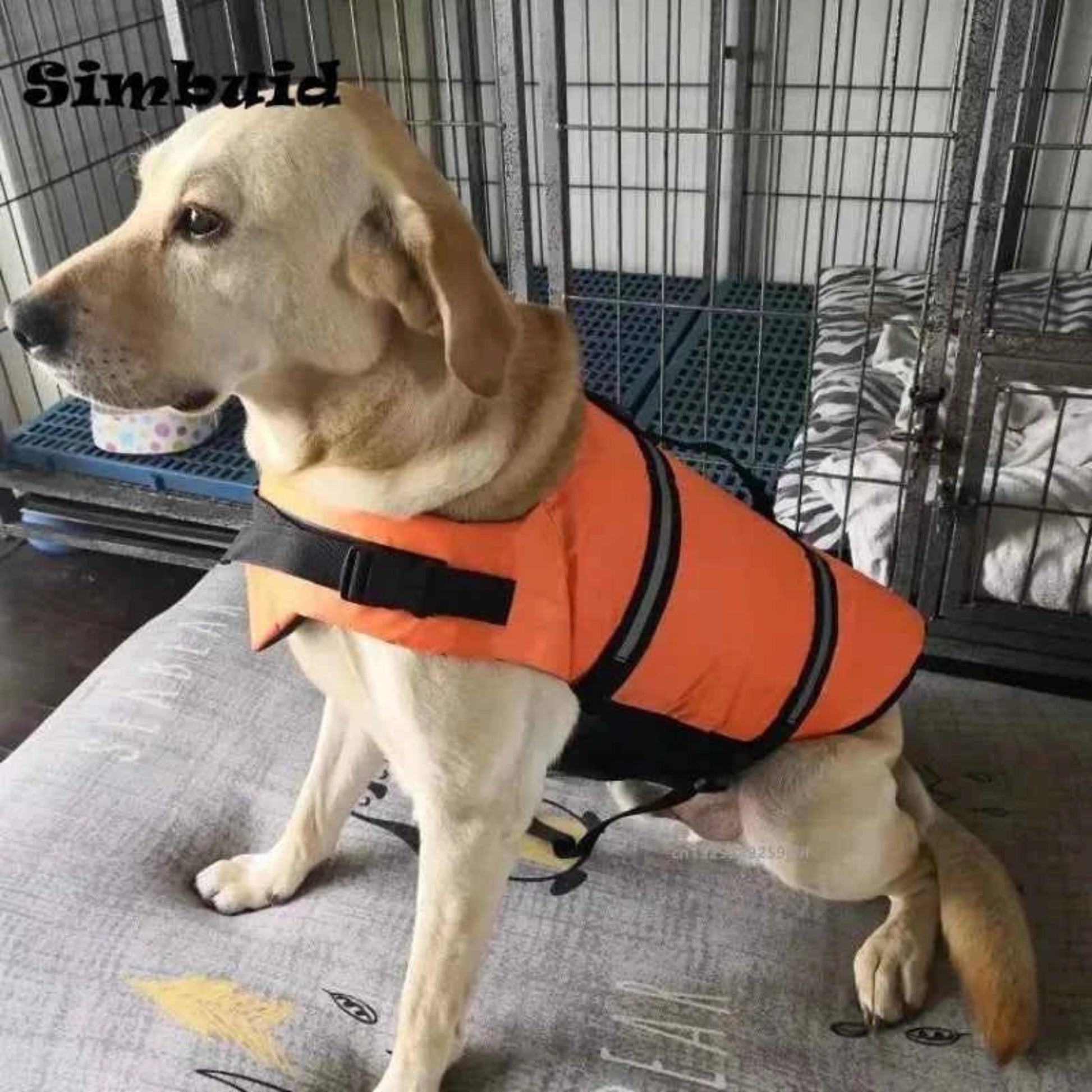 Gilet de sauvetage réfléchissant réglable pour grands chiens, maillot de bain, gilet de sécurité pour surf, voilier, flottabilité améliorée, vestes de sauvetage pour animaux de compagnie