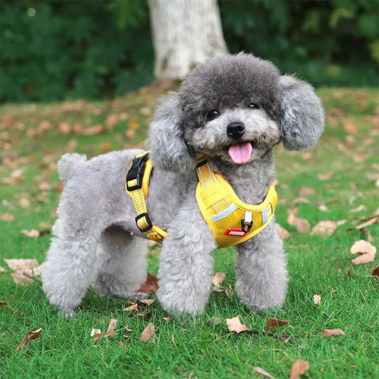 Harnais veste solide et durable en fibre robuste pour chien