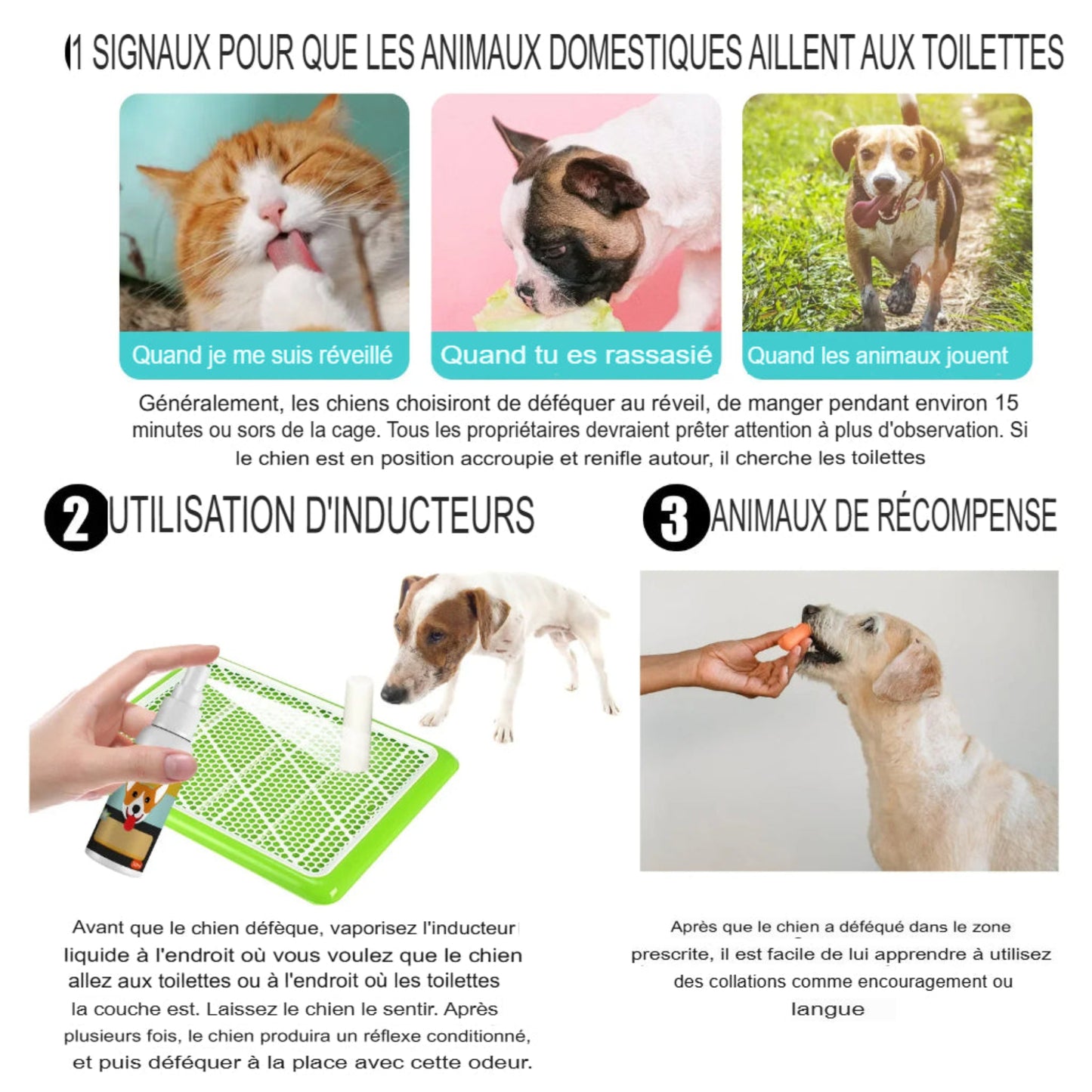 Inducteur de défécation PupMED pour chiens et chats, pot d'entraînement facile