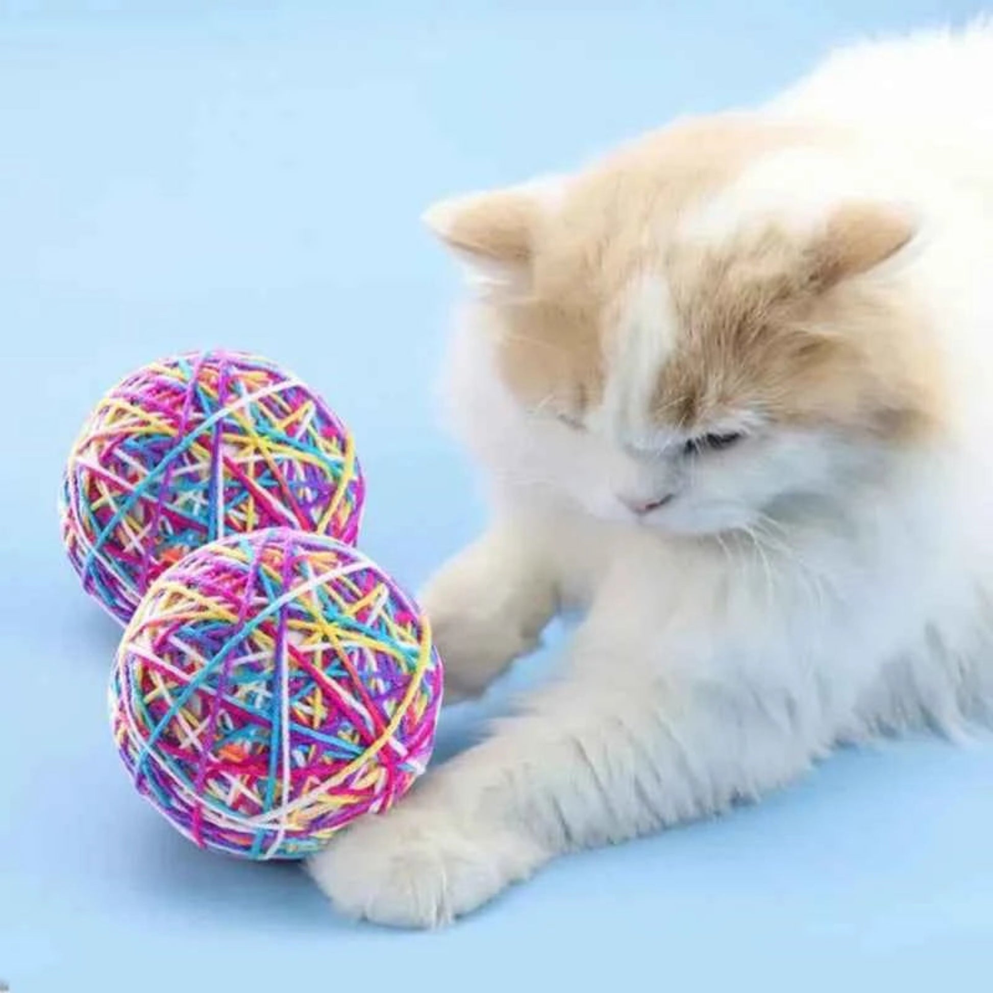 jouet boule en laine colorée pour chien et chat avec clochette