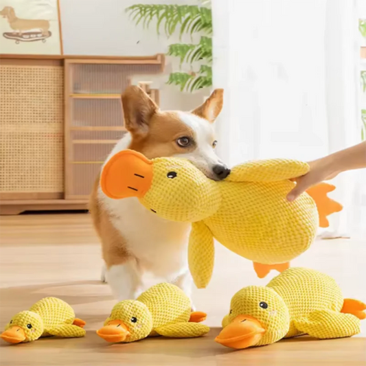 Jouet canard jaune pour chien et chat – Peluche interactive anti-ennui | Jouet souple pour animaux de compagnie