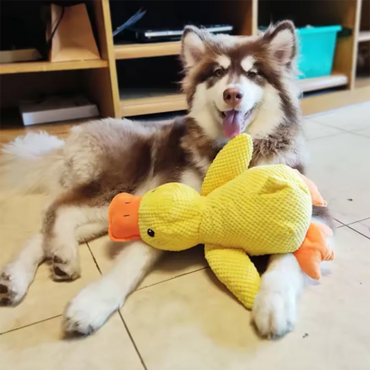 Jouet canard jaune pour chien et chat – Peluche interactive anti-ennui | Jouet souple pour animaux de compagnie