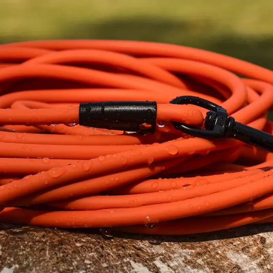 ligne-suivi-laisse-entrainement-longue-chien-corde-robuste