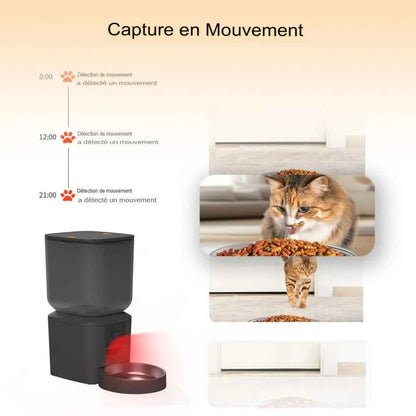 Mangeoire automatique pour chien et chat 8L avec caméra HD 1080p et vision nocturne