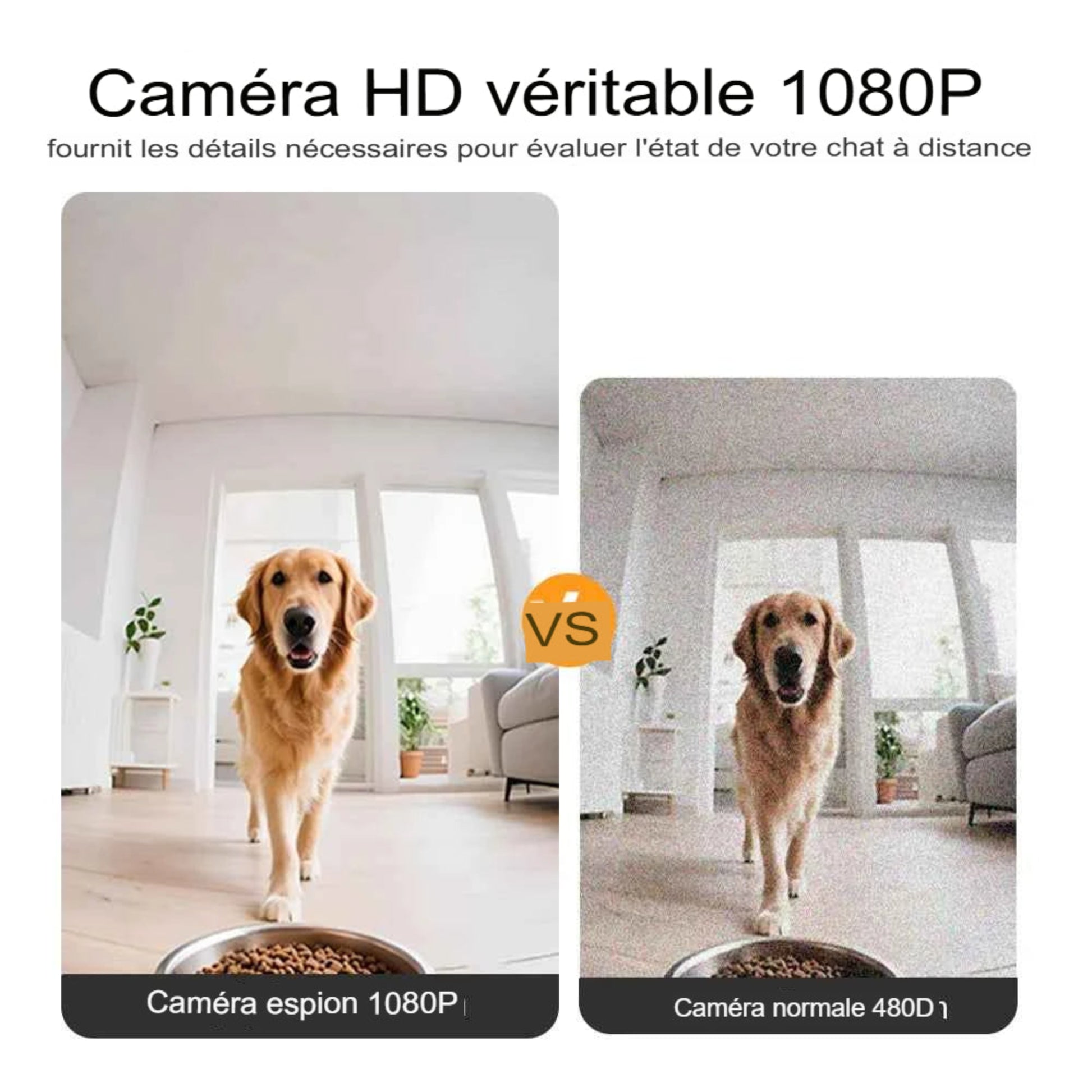 Mangeoire automatique pour chien et chat 8L avec caméra HD 1080p et vision nocturne