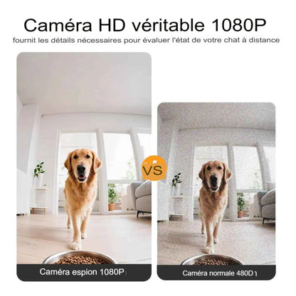 Mangeoire automatique pour chien et chat 8L avec caméra HD 1080p et vision nocturne
