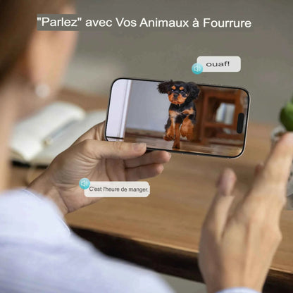 Mangeoire automatique pour chien et chat 8L avec caméra HD 1080p et vision nocturne