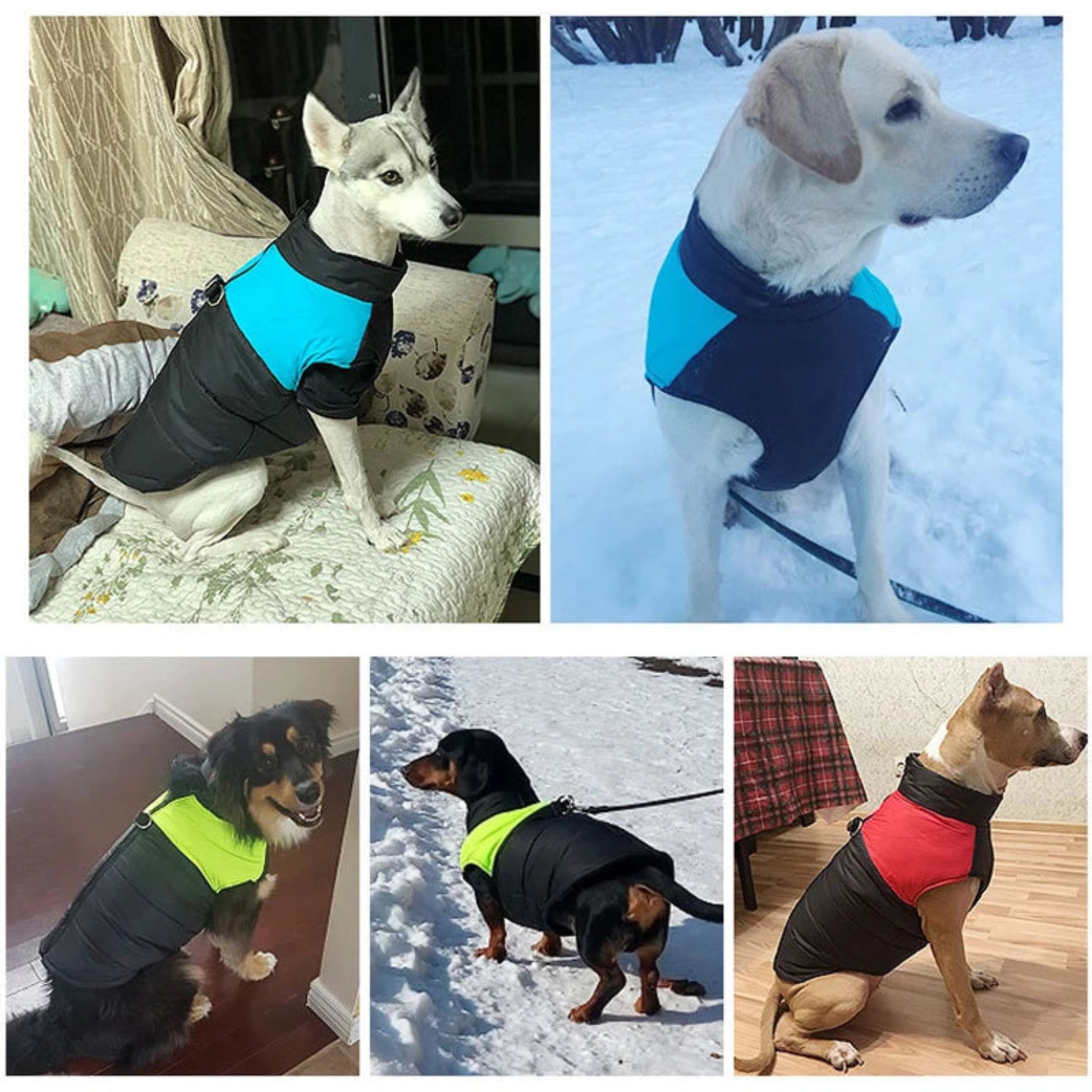 Manteau d’hiver imperméable pour chien, veste chaude pour petits et grands chiens