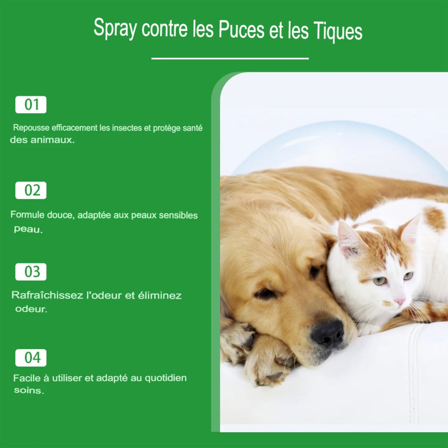 Spray anti-acariens pour chien et chat, élimine puces et tiques