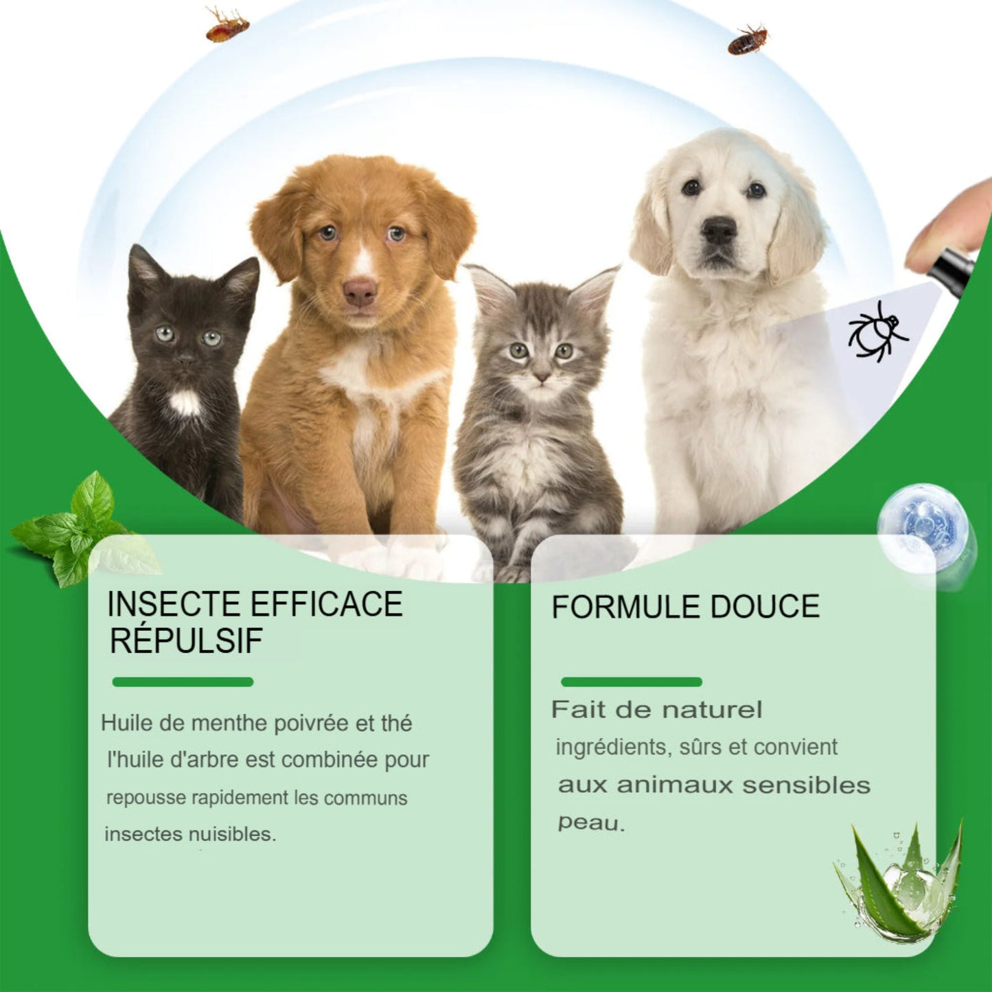 Spray anti-acariens pour chien et chat, élimine puces et tiques