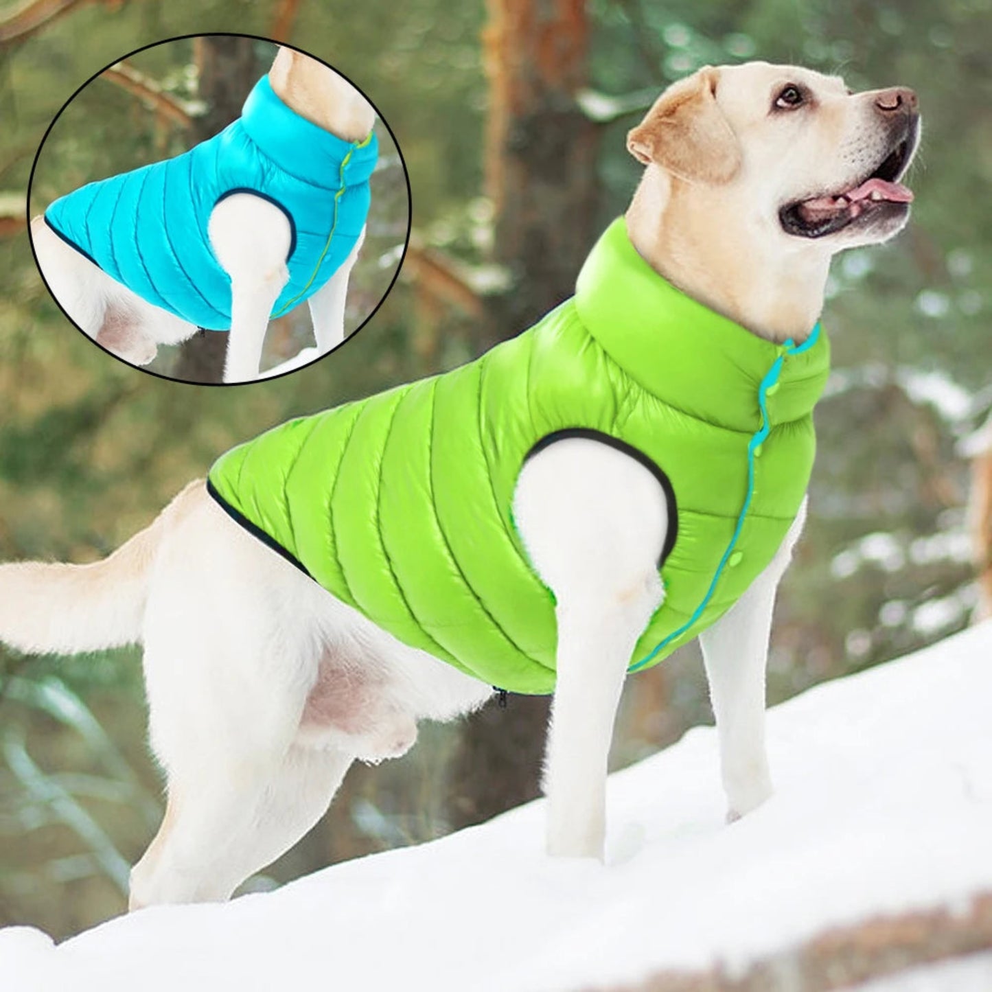 Veste réversible imperméable pour chien, manteau chaud 3 couches hiver